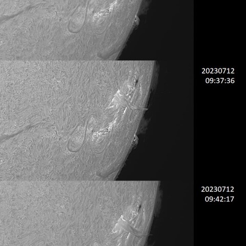 20230712の太陽_1(噴出型プロミネンス(スプレイ))