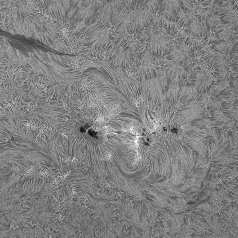 202309/11の太陽(Hα線画像)