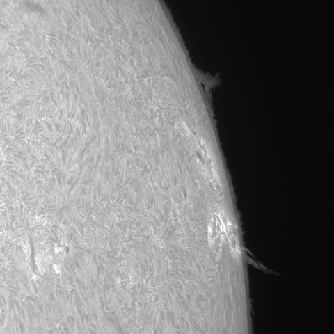 202309/11の太陽(Hα線画像)