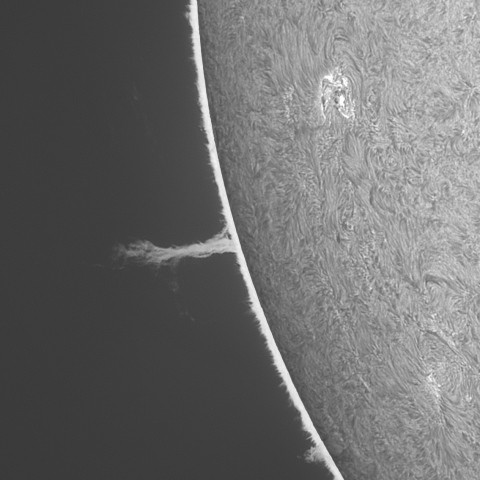 202309/11の太陽(Hα線画像)