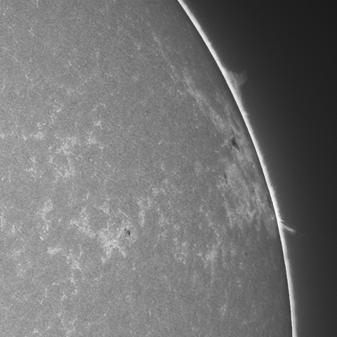 202309/11の太陽(Cak線画像)