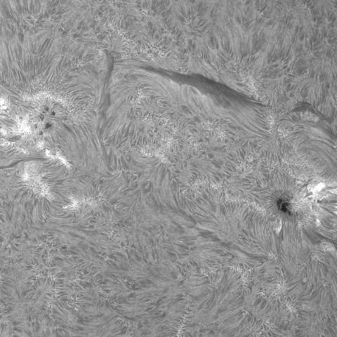 202309/11の太陽(Cak線画像)