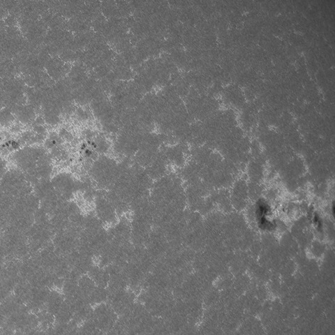 202309/14の太陽(Cak線画像)