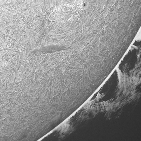 202309/15の太陽(Hα線画像)