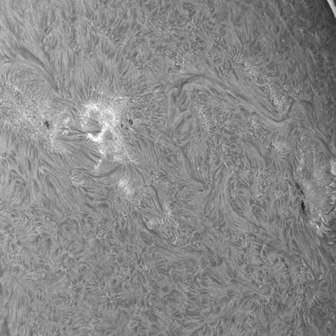 202309/15の太陽(Hα線画像)