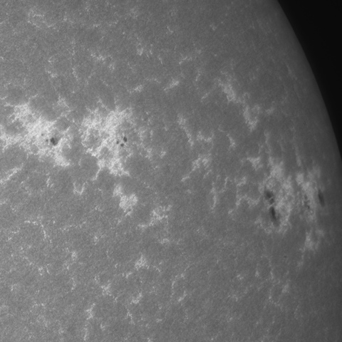 202309/15の太陽(Hα線画像)