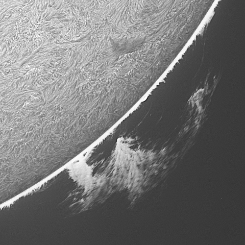 202309/16の太陽(Hα線画像)