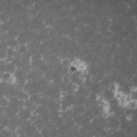 202309/18の太陽(CaK線画像)