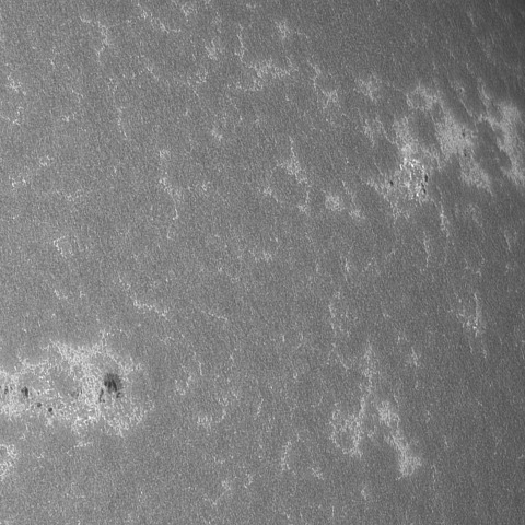 202309/17の太陽(CaK線画像)