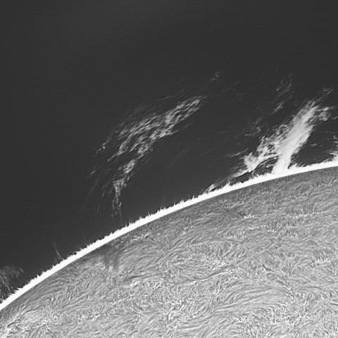 202309/17の太陽(Hα線画像)