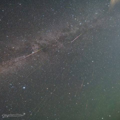 ペルセウス座流星群とカシオペアとはくちょう座