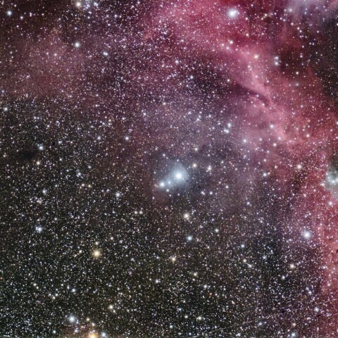 かもめ星雲 右ウィング