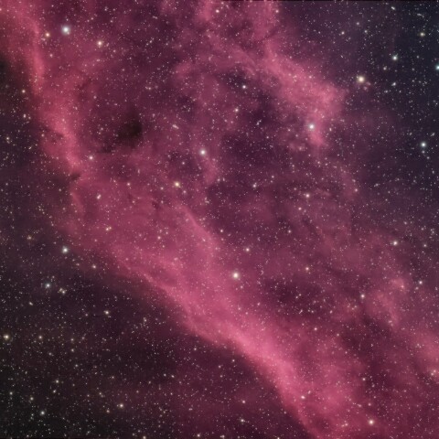 カリフォルニア星雲