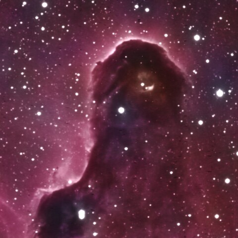 象の鼻星雲先端部