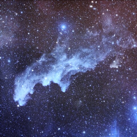 魔女の横顔星雲