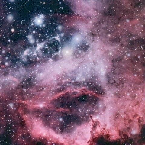 ばら星雲