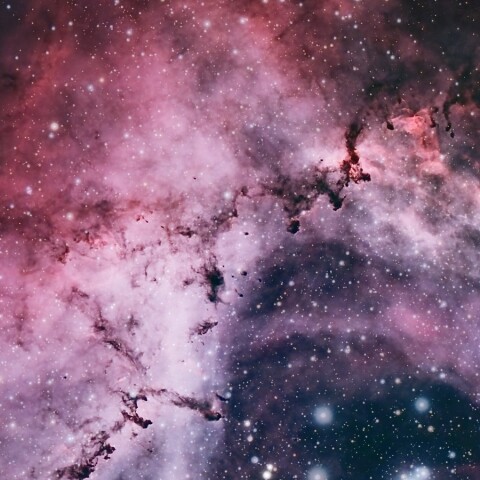 ばら星雲