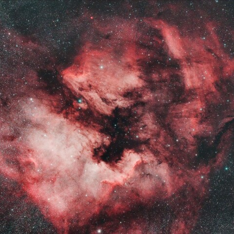 北アメリカ星雲 ペリカン星雲