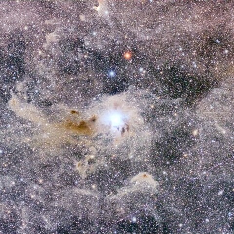 あやめ星雲 付近