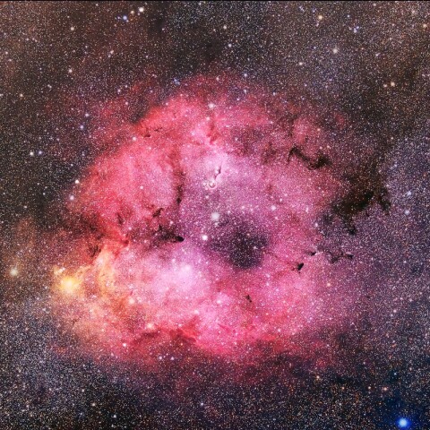IC1396