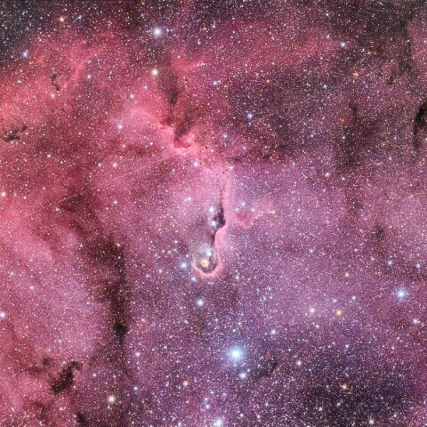 IC1396