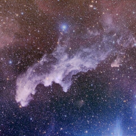 魔女の横顔星雲 と背景星雲