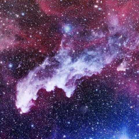 魔女の横顔星雲 と背景星雲 パート２