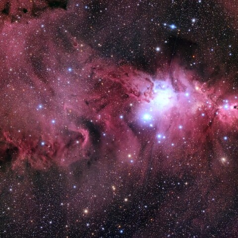 クリスマスツリー星団 NGC2264