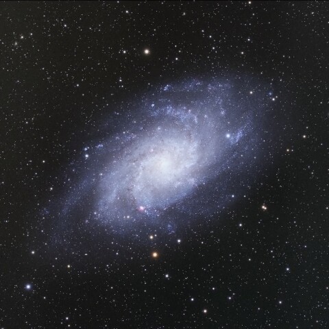 M33