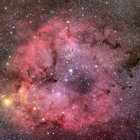 IC1396