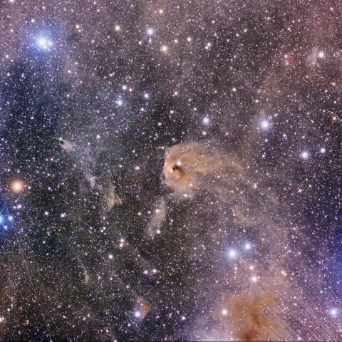 NGC1555 ハインドの変光星雲 付近