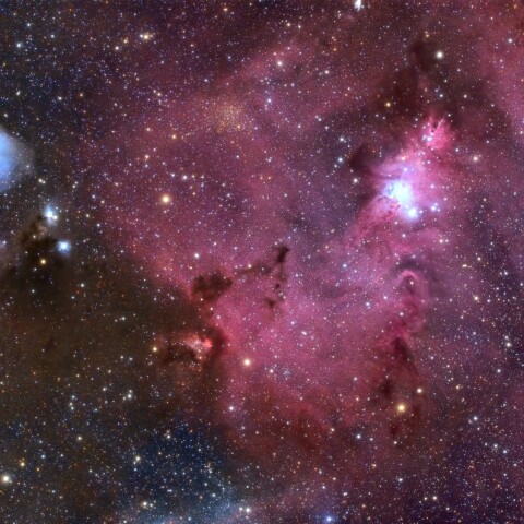 クリスマスツリーとカタツムリ星雲