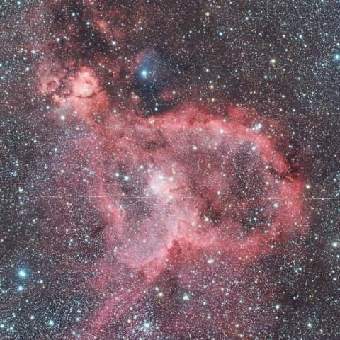 星の中に漂う ハート星雲 ( IC1805 )