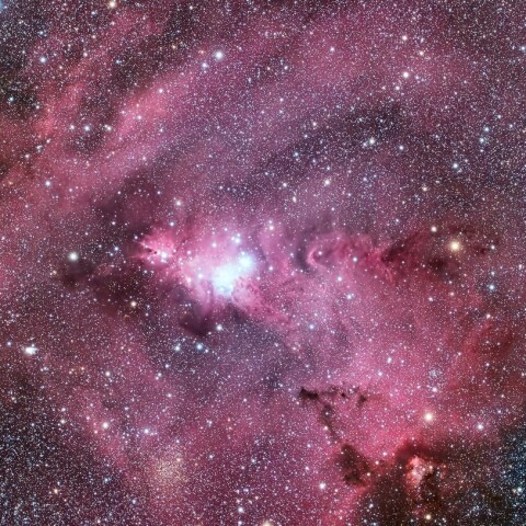 クリスマスツリー星団 ( NGC2264 )