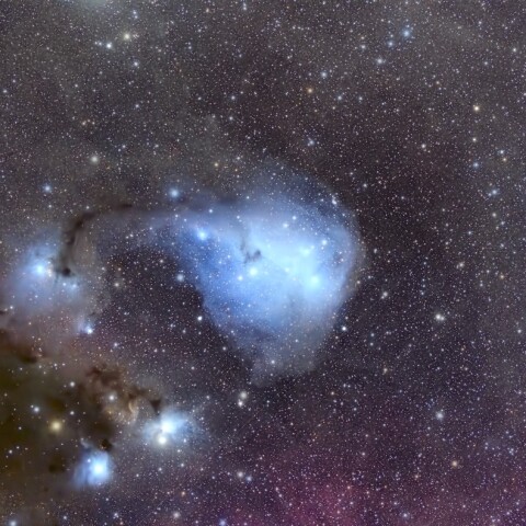 かたつむり星雲 IC447