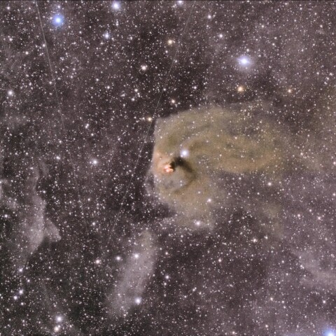 T-Tau と NGC1555