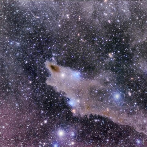 さめ星雲 LDN1235