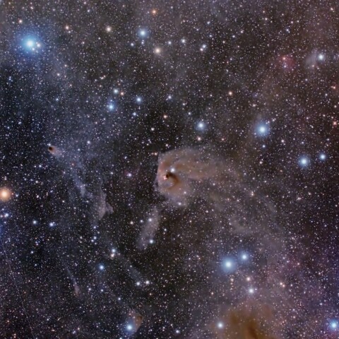 NGC1555 ハインドの変光星周辺