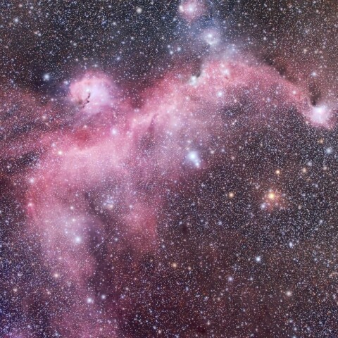 IC2177 かもめ星雲