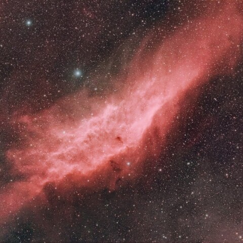 114761: 浜松＋奥多摩 NGC1499 カリフォルニア星雲 by