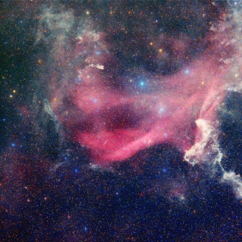 鷹の爪星雲 大とかげ星雲