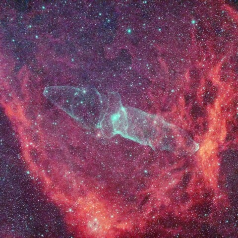 イカ星雲