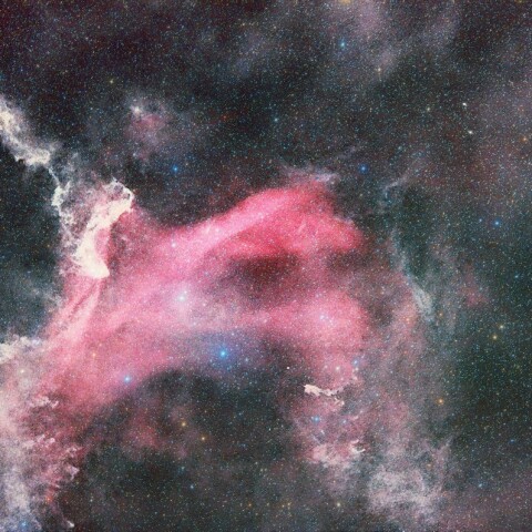 鷹の爪星雲 大とかげ星雲