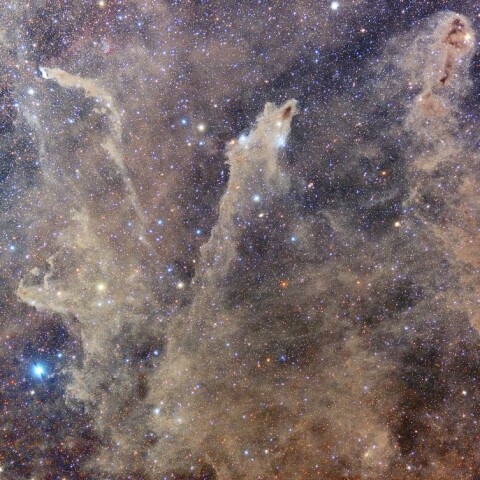 さめ星雲 腐った魚星雲