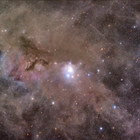 IC348
