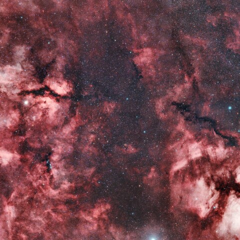 北アメリカ星雲から三日月星雲 (再処理)