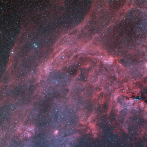 No.368 星 宙「ナヴォーナ広場（ローマ）」F8（455×380mm）原画 大地と空が織りなす絶景(826) － インド洋の島国モルディブで