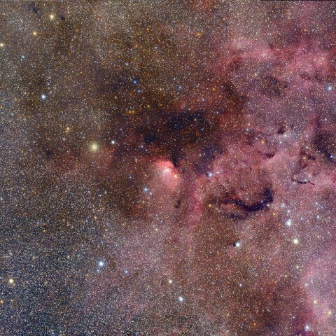 Sh2-101 チューリップ星雲周辺
