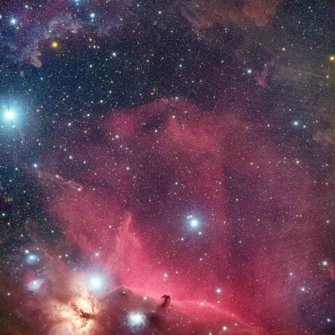 馬頭星雲 周辺 (2枚モザイク)