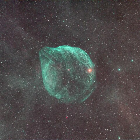 イルカ頭星雲
